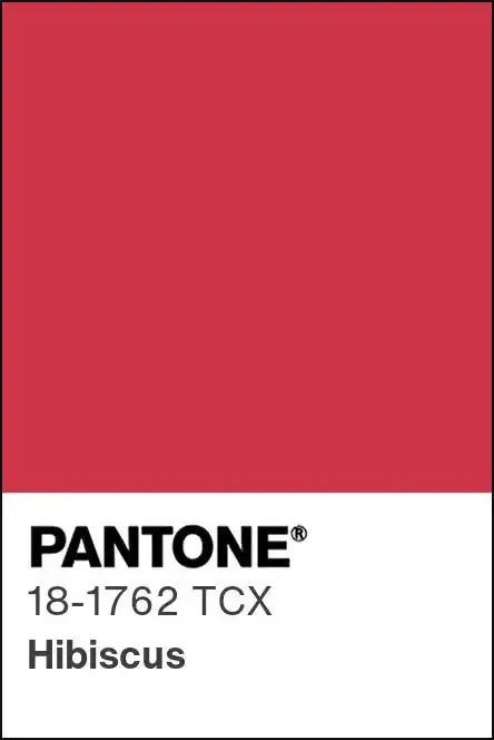 1736927865037 1736927865037